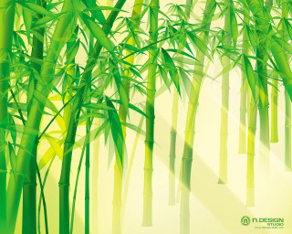 Green bamboo tree yellow background - cui bai free wallpaper