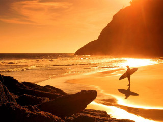 Person holding surfboard beach sunset 4 - golden hour free wallpaper