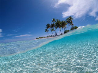 Wave beach palm trees blue - sumatraism free wallpaper for desktop