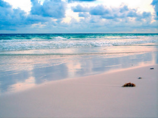 Sandy beach waves starfish cloudy - a few wave free wallpaper