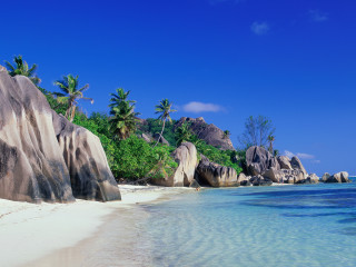 Beach rock palm trees sand - clear blue water free wallpaper