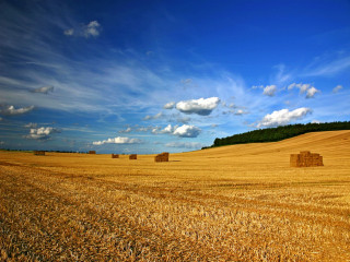 Hay field bales blue sky 3 - a field of hay free wallpaper