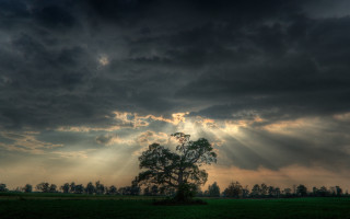 Tree field clouds sun rays 6 - caspar david friedrich free wallpaper