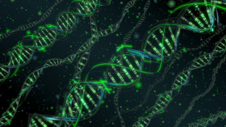 Green white structure green light - the top of it free wallpaper