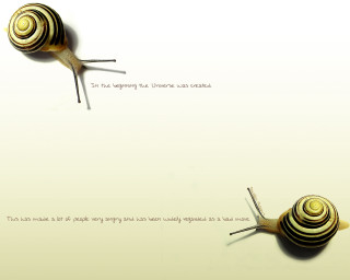 Snail caption middle image caption - a snail free wallpaper