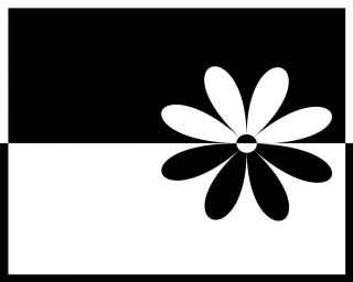 Black white flower black background 2 - low free wallpaper for desktop