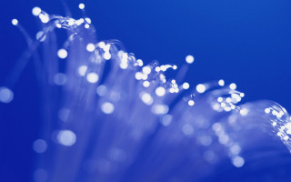 Flower closeup water droplets blue - objective abstraction free wallpaper