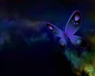 Butterfly flying colorful background stars 3 - a butterfly free wallpaper for desktop