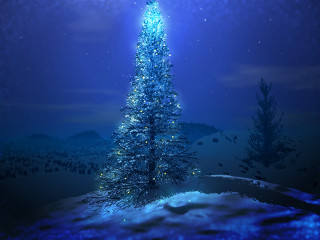 Blue christmas tree snowy landscape - sky free wallpaper for desktop