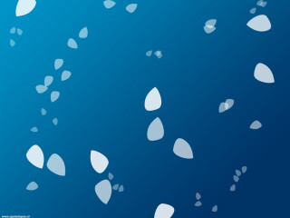 Blue background white leaves floating - the air free wallpaper