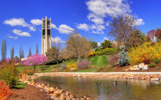 Clock tower pond trees colorful 2 - a clock tower free wallpaper