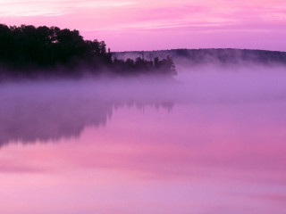 Pink sky trees water fog - bob ross free wallpaper for desktop