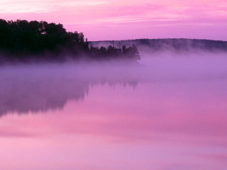 Pink sky trees water fog 3 - bob ross free wallpaper for desktop