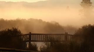 Bridge river fog trees background 3 - volumetric fog free wallpaper