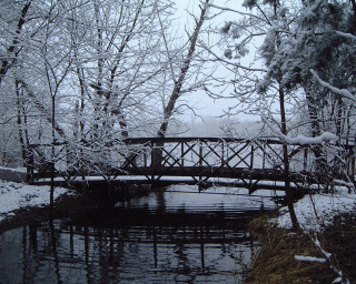 Bridge snowy forest river snow 3 - the ground and trees free wallpaper