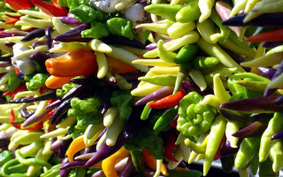 Colored peppers vegetables white bowl - other vegetable free wallpaper