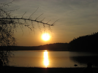 Sunset lake bench person tree 4 - a sunset over a lake free wallpaper