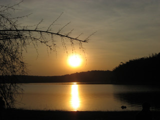 Sunset lake bench person tree 3 - a sunset over a lake free wallpaper