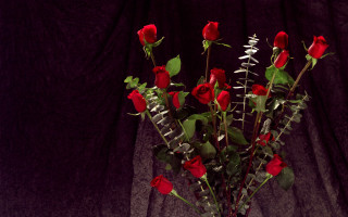 Vase red roses still life - red rose free wallpaper