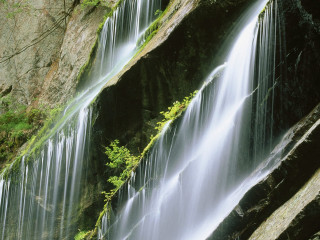 Waterfall cascading water lush green 6 - a bunch of water free wallpaper