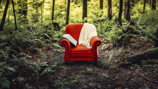 Red chair forest blanket book - storybook illustration free wallpaper