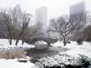 Bridge pond snow park buildings - tall building free wallpaper