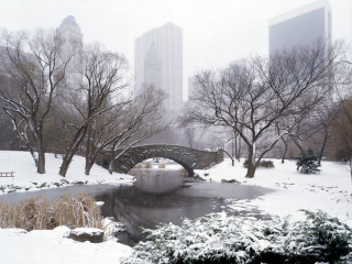 Bridge pond snow park buildings 2 - tall building free wallpaper