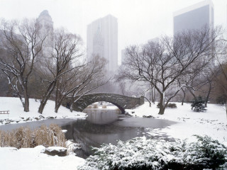 Bridge pond snow park tall 2 - tall building free wallpaper