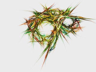 Grass white background green circle 2 - a picture of a bunch free wallpaper