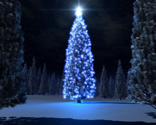 Large christmas tree lit snow 2 - the top of it free wallpaper