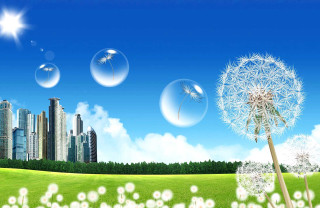 Dandelion city bubbles flying background - a dandelion free wallpaper for desktop