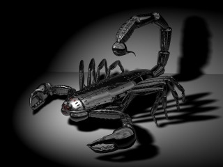 Black white scorpion shadow background - dirk crabeth free wallpaper