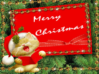 Christmas card cat red banner - a red banner free wallpaper