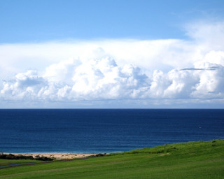 Lush green hillside water beach - a lush green field free wallpaper
