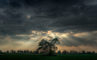 Tree field clouds sun rays 8 - sun ray free wallpaper