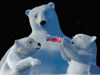 Polar bear cubs coke bottle 2 - dorothy coke free wallpaper