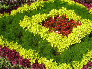 Flower garden mosaic ornamental nature - ornamental free wallpaper for desktop