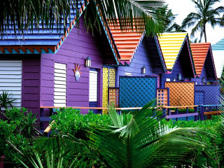 Colorful houses palm trees blue 2 - albert irvin free wallpaper