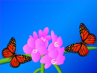 Butterflies flying pink flower blue - a pink border free wallpaper