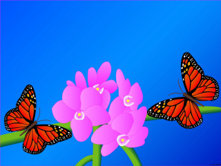 Butterflies flying pink flower blue 3 - a group of butterflies free wallpaper