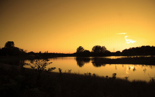 Sunset lake trees bushes yellow - a yellow sky in the background free wallpaper for desktop