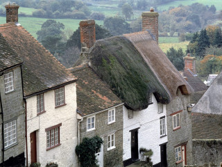 Green roof houses tilt shift - a row of houses free wallpaper