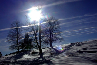 Skiing snowy trees sunshine clouds - the background and sun free wallpaper