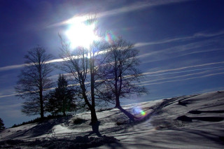 Sun bright snowy landscape forest - over a snowy landscape free wallpaper
