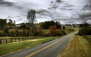 Road fence field trees grass 9 - both side of the road free wallpaper