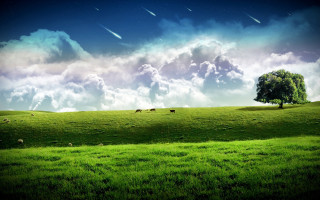 Green field tree clouds sheep - a green field free wallpaper for desktop