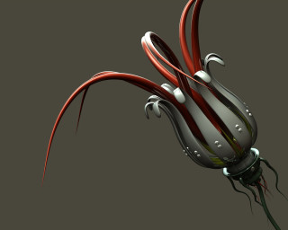 Red white flower black stem - biopunk free wallpaper