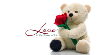 Teddy bear red rose love - love free wallpaper for desktop