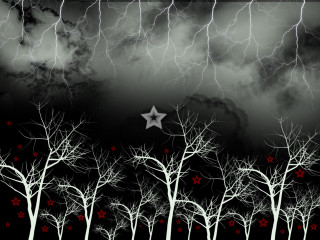 Star dark sky trees foreground - a dark sky free wallpaper
