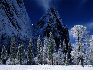 Snowy landscape trees mountains blue 2 - a snowy landscape free wallpaper for desktop